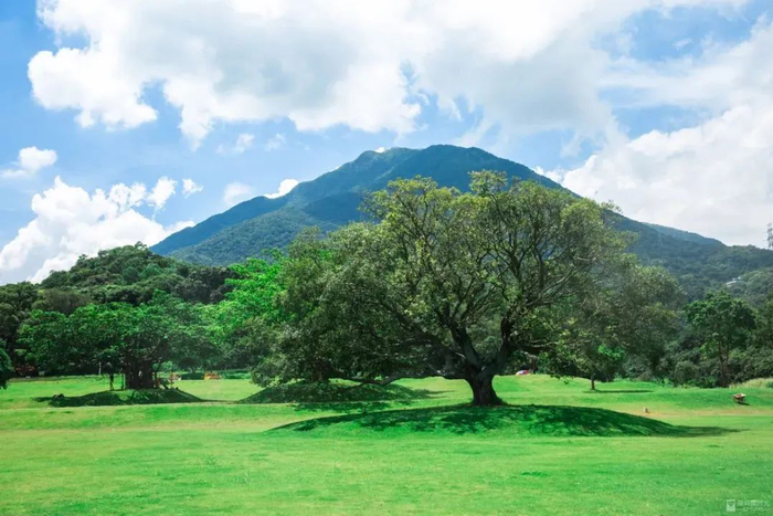 图源：深圳微时光微信公众号