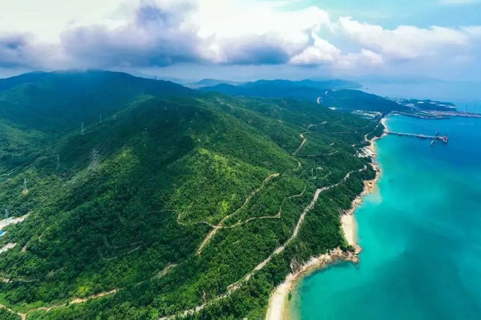 图源：美丽深圳微信公众号