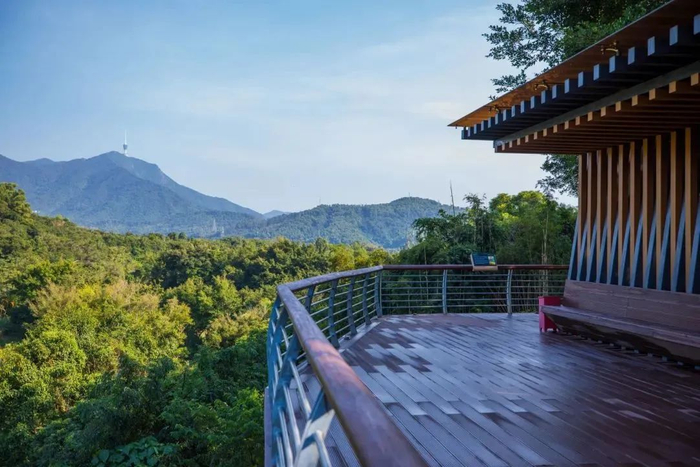 图源：深圳城管微信公众号