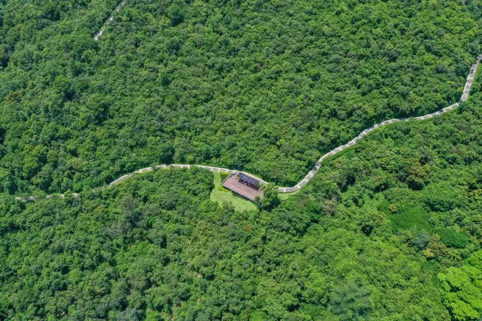 图源：深圳城管微信公众号