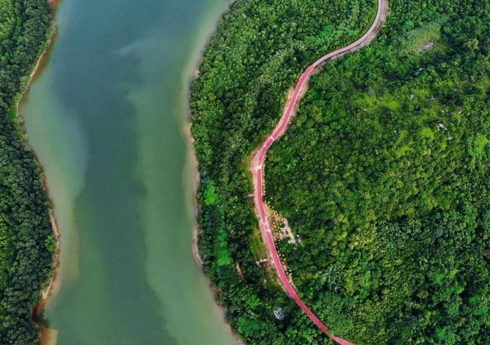 图源：深圳城管微信公众号