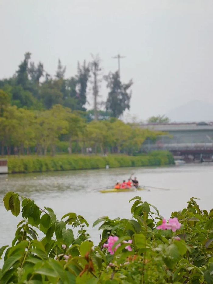河道中的皮划艇训练。图源：深圳晚报记者 程旭薇/摄