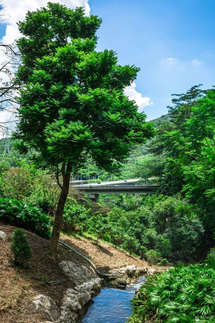 图源：深圳微时光微信公众号