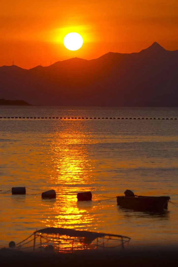 图源：美丽深圳微信公众号