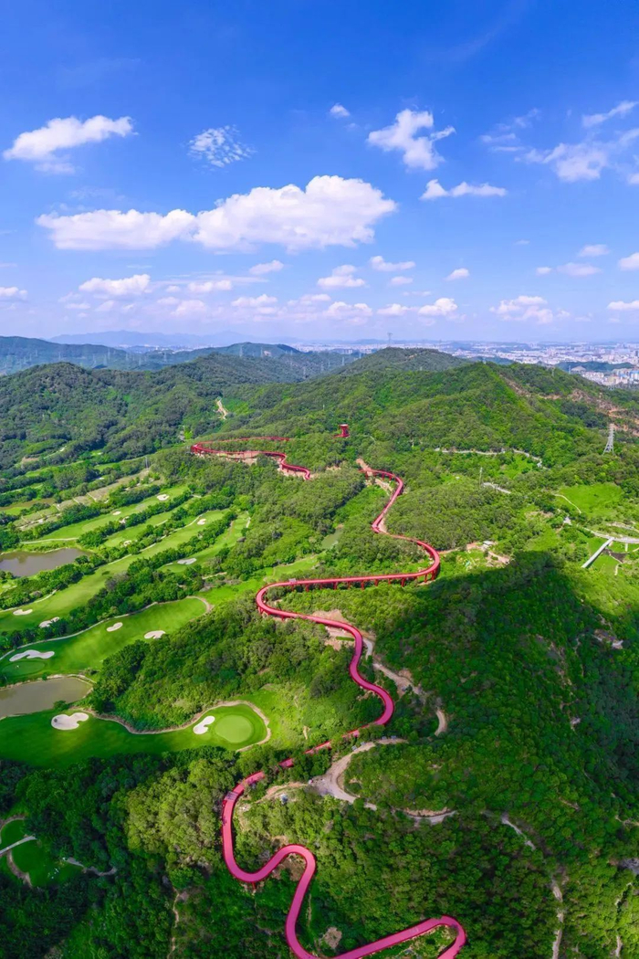 图源：美丽深圳微信公众号