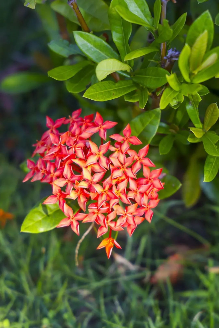 图源：美丽深圳微信公众号