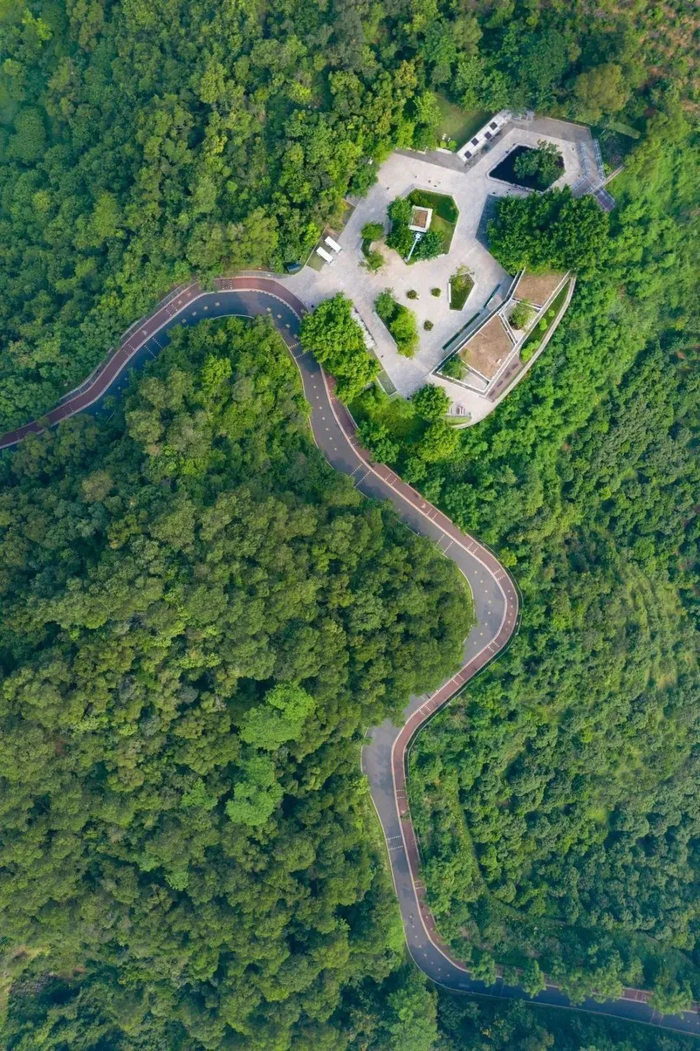 图源：深圳城管微信公众号