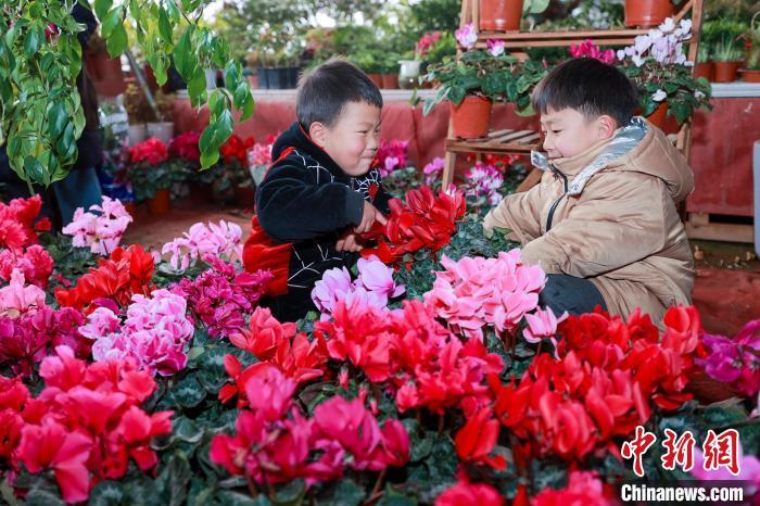 两位小朋友在花卉绿植之间嬉戏。李红卫 摄