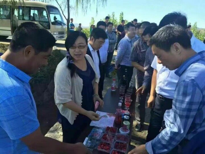 农产品展示交流会。（图片由茨榆山乡提供）