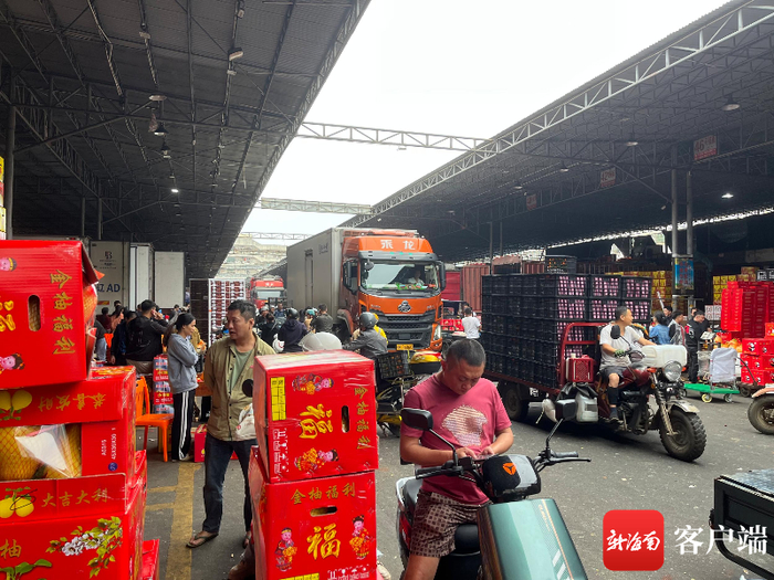 海口南北水果市场，市民成箱地购买柑橘类水果。陈婧 摄