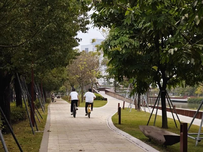 大沙河骑行。图源：深圳晚报记者 程旭薇/摄