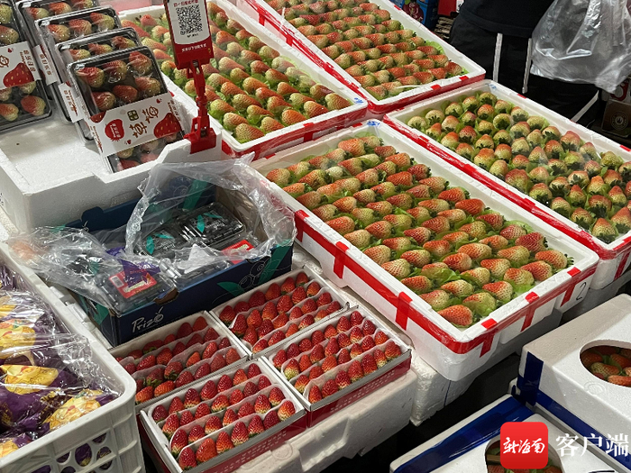 今年草莓的热度不及车厘子。陈婧 摄