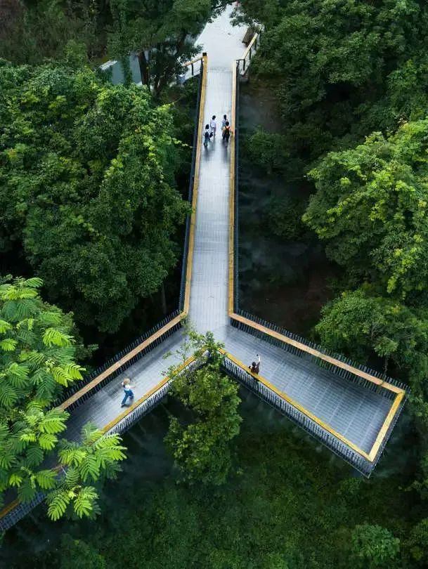 图源：美丽深圳微信公众号