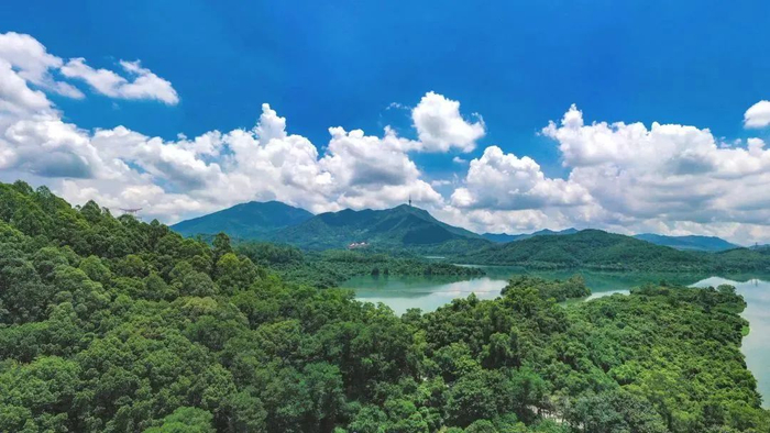 图源：深圳城管微信公众号