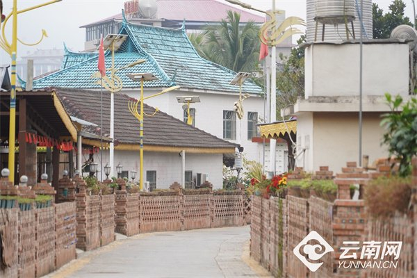 陇海村民小组整洁的村道