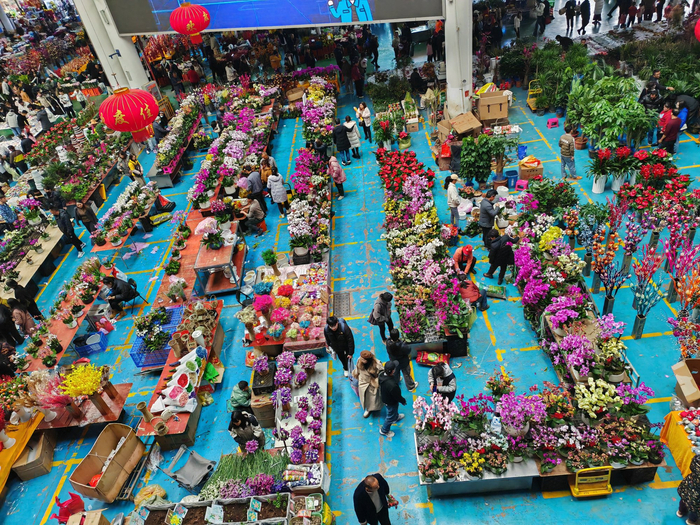 云南昆明斗南花卉市场"花经济"势头正旺