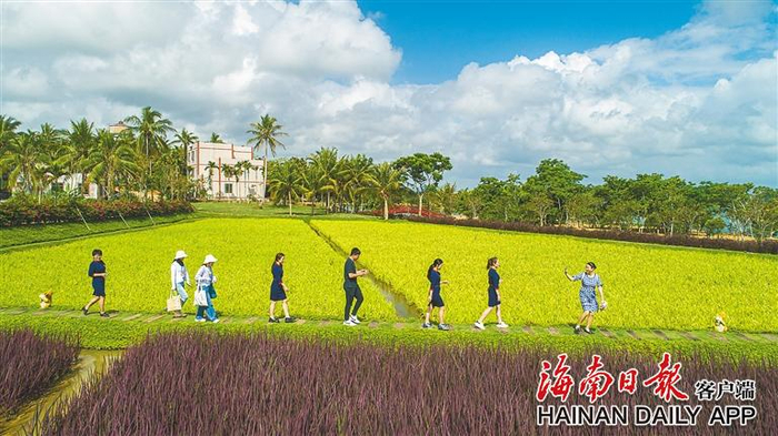 游客在琼海市博鳌镇的留客村漫步。海南日报记者 袁琛 摄