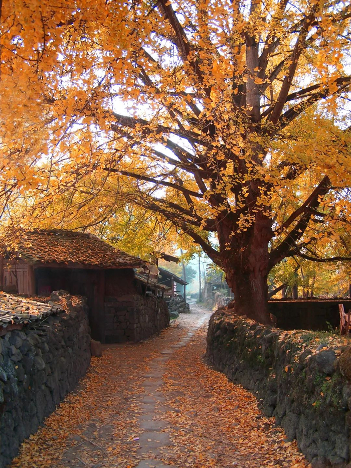 云南省发展与改革委 供图