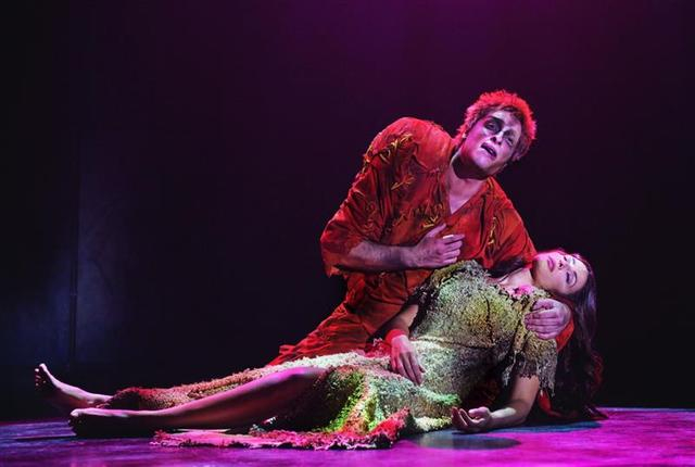 法语音乐剧《巴黎圣母院》剧照 