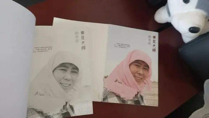 裴爱民的书《田鼠大婶的日记》 受访者供图