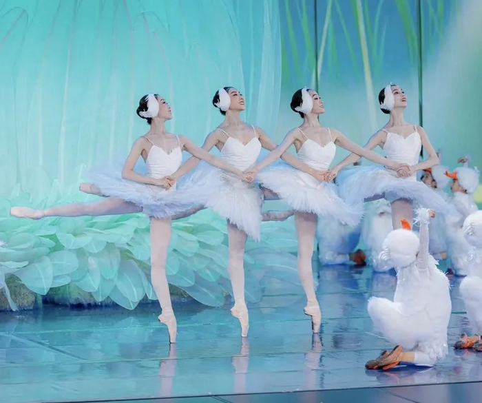 春晚节目《鹅鹅鹅》