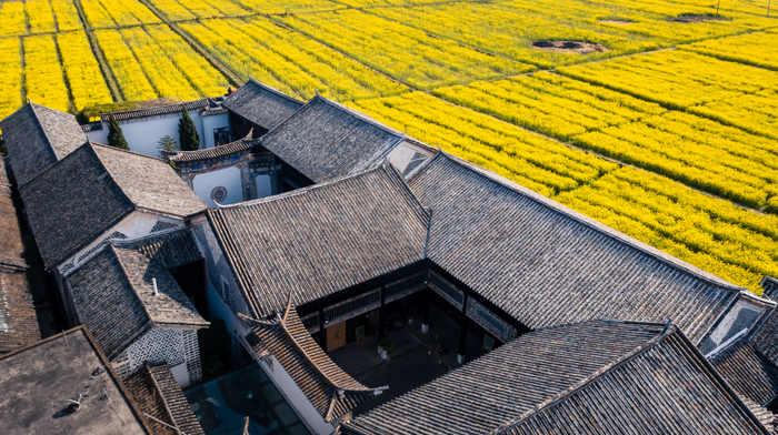 云南省发展与改革委 供图