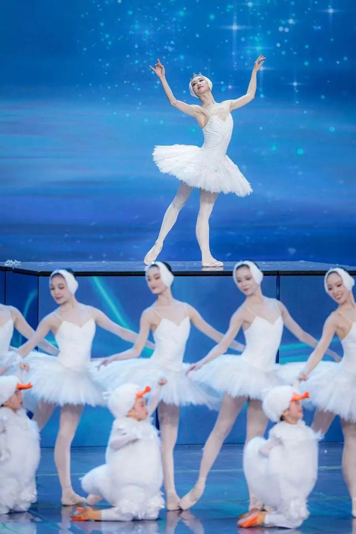 春晚节目《鹅鹅鹅》