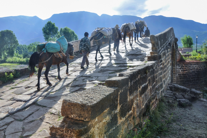 大理剑川县发展和改革局 供图