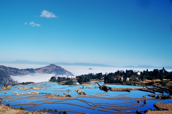 红河州发展与改革委 供图