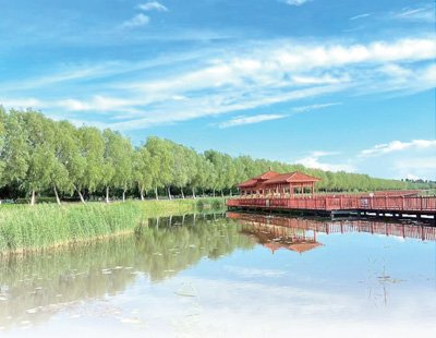 夏季的查干湖大玉儿湿地生态步道，水清岸绿，景色宜人。吉林省松原市前郭县委宣传部供图