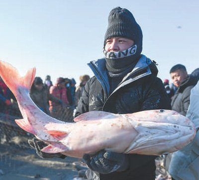 在查干湖冰面上，游客手捧刚打捞上来的查干湖鱼。新华社记者 张 楠摄