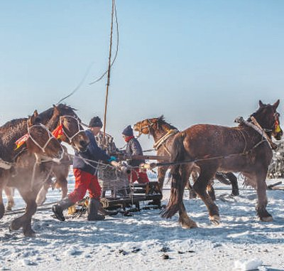 查干湖冬捕现场，当地人用马拉绞盘的传统方式捕鱼。王学雷摄