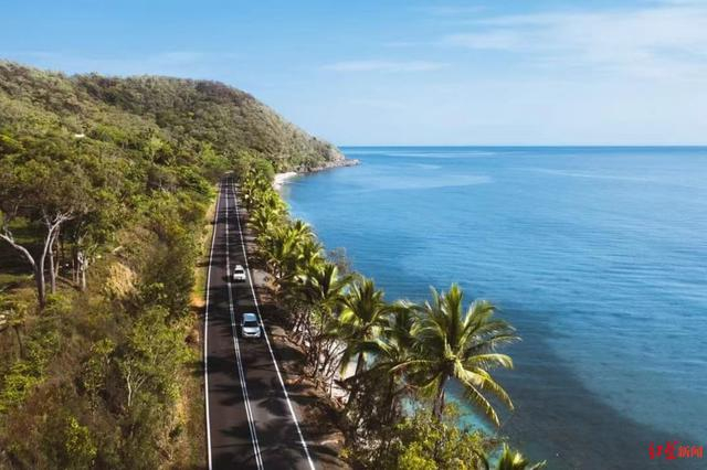▲凯恩斯市被热带雨林环绕 受访者供图