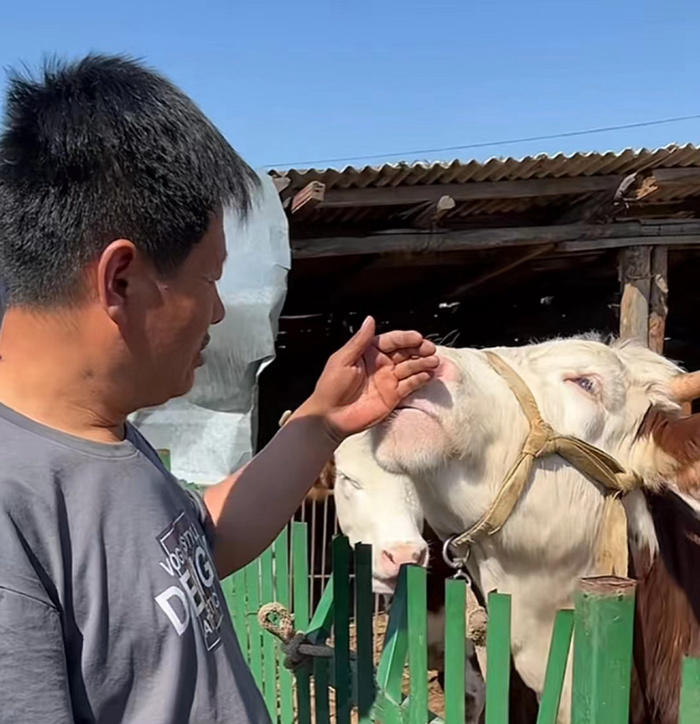 来源：@龙腾虎跃龙兽医 视频截图