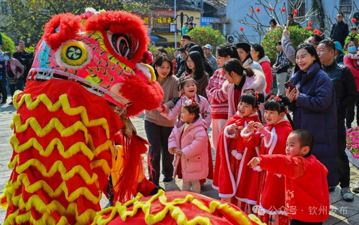 龙狮巡游现场。褚廼钦 摄