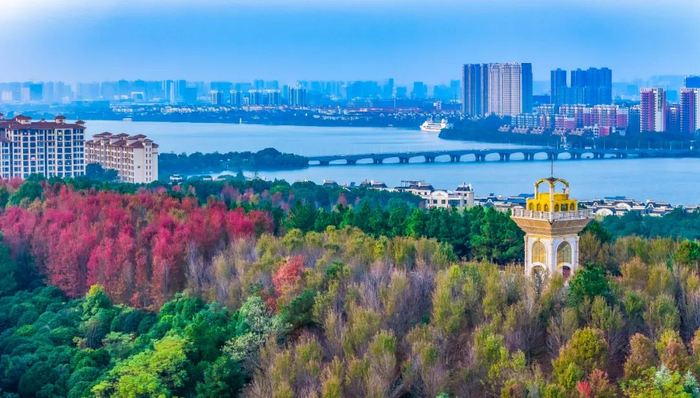 藏龙岛国家级湿地公园 图片来源:江夏融媒