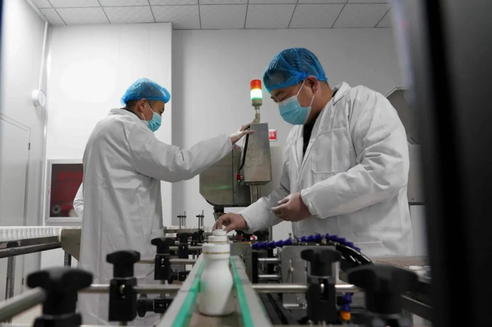 红泉食品公司职工在加班生产产品。（石莹莹摄）