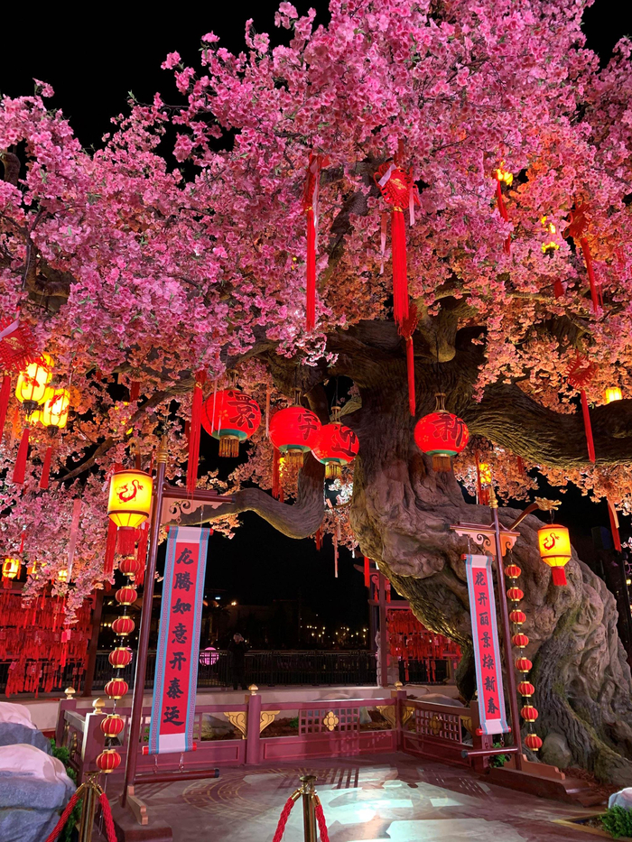 图源：时代财经现场拍摄