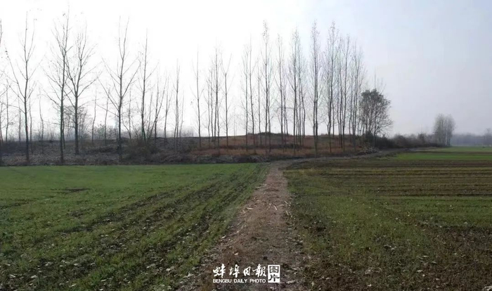 ▲东北部城墙现貌