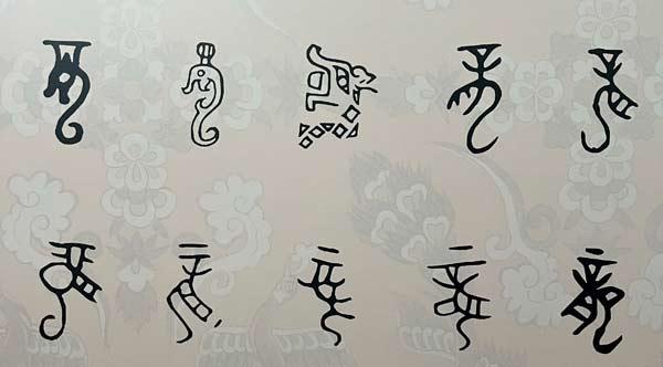 殷墟甲骨文中的龙字,写法不尽相同