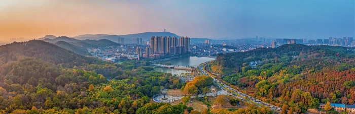 图片来源：江夏融媒