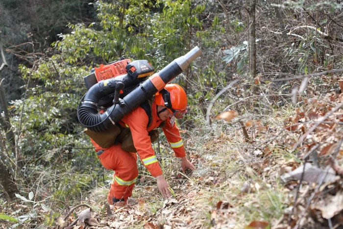 山高坡陡，消防指战员上山时经常手脚并用，自己开路
