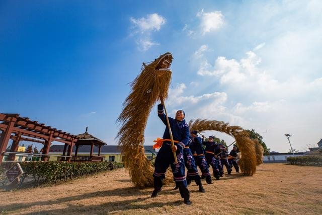 松江舞草龙（时俊和摄）