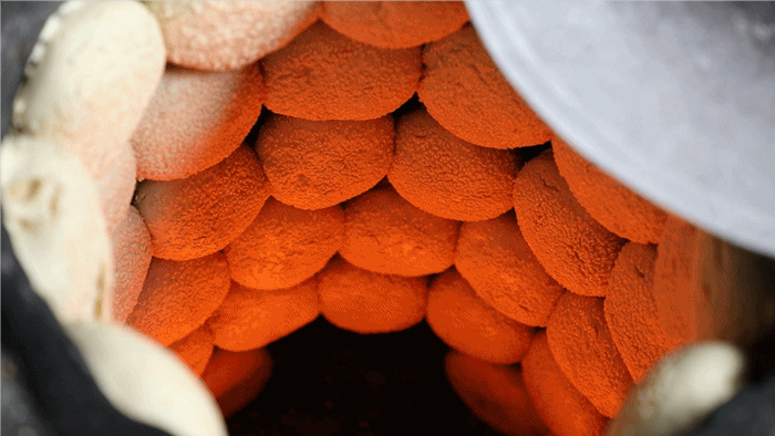 缸炉烧饼。河北日报通讯员张鹏飞　樊华清摄