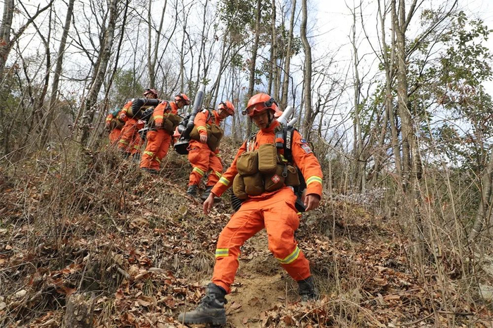 消防指战员深入林区腹地，实地勘察，对各类数据进行取样、汇总记录