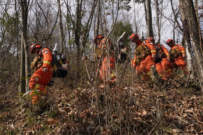 林区里植被地形复杂，消防指战员穿越树丛