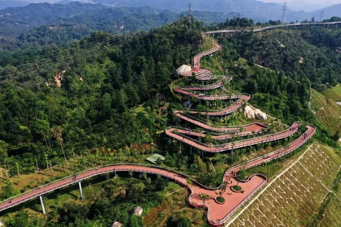 赵梓/摄