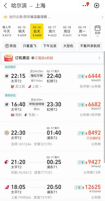   截图自某旅行服务平台。