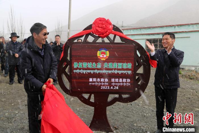 资料图为襄阳、琼结两地政协在琼结县东嘎社区东嘎沟为民族团结友谊林揭牌。曲杰 供图