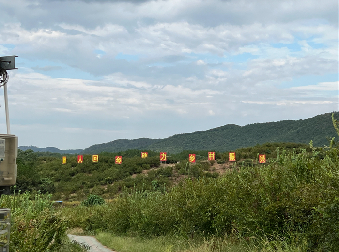 *LanYoung懒养原料种植基地
